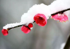 1753782706223929.png image.png