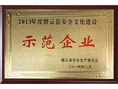 2013年縉云縣安全文化建設示范企業