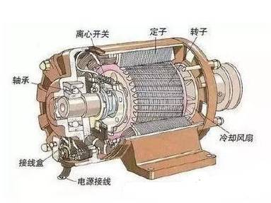 交流電動機(jī)結(jié)構(gòu)示意圖.jpg