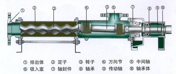 單螺桿泵基本機(jī)構(gòu)圖.png