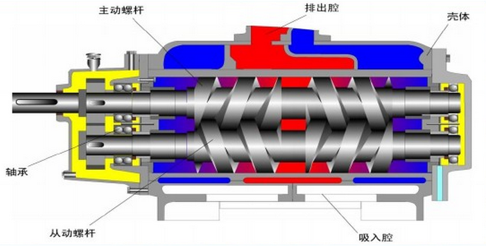 雙螺桿泵基本機(jī)構(gòu)圖.png